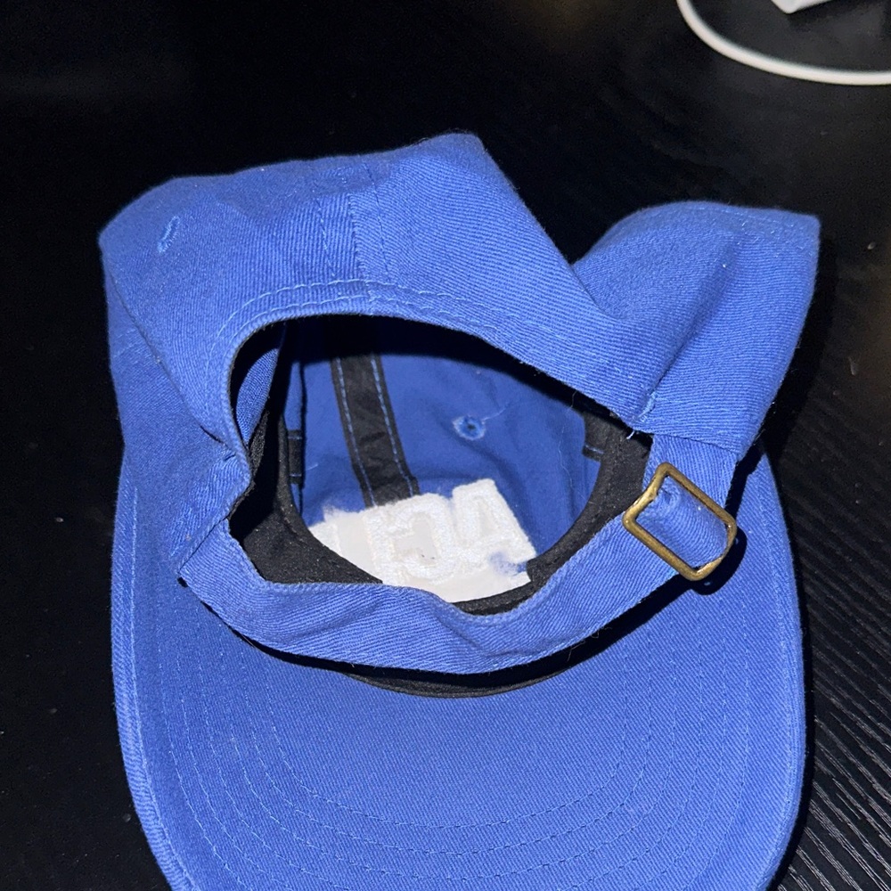 ACLU of GEORGIA Blue Baseball Cap - Picture 4 of 4